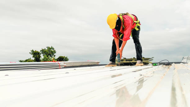 Best Roof Maintenance and Cleaning  in Anthony, TX